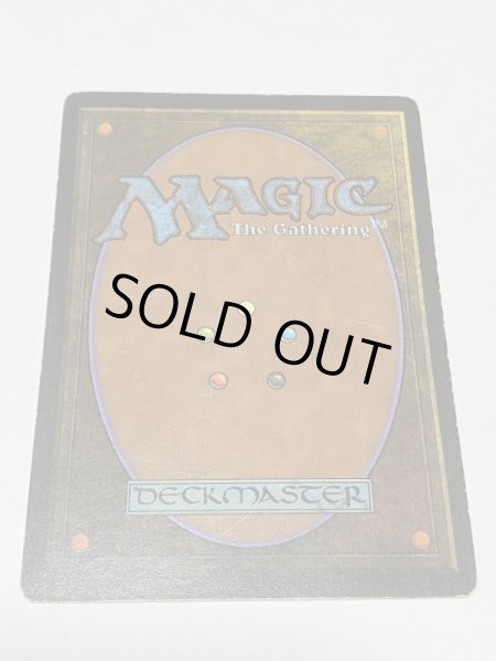 画像6: 《Bayou》3ED HP (6)