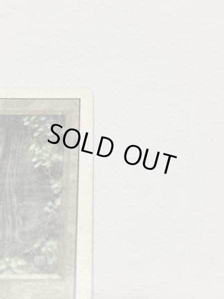 画像3: 《Bayou》3ED HP (3)