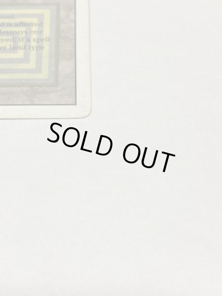 画像4: 《Bayou》3ED HP (4)