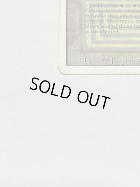 画像5: 《Bayou》3ED HP (5)