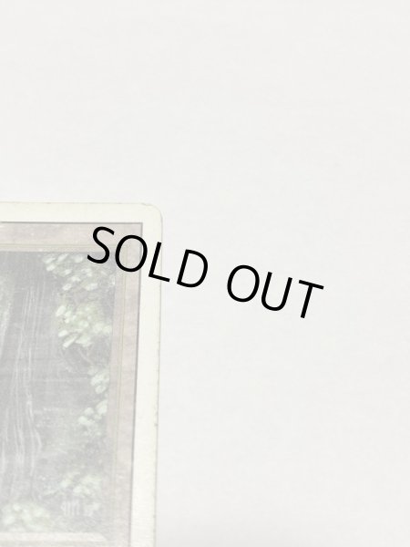 画像3: 《Bayou》3ED HP (3)