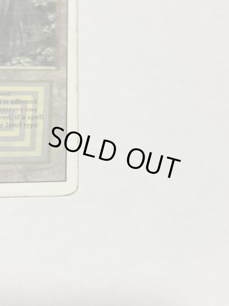 画像4: 《Bayou》3ED HP (4)