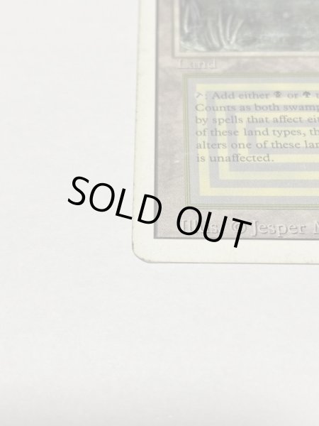 画像5: 《Bayou》3ED HP (5)