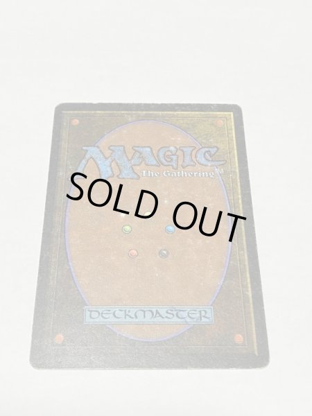 画像6: 《Bayou》3ED HP (6)