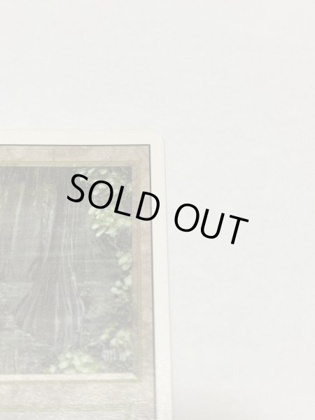 画像3: 《Bayou》3ED MP (3)