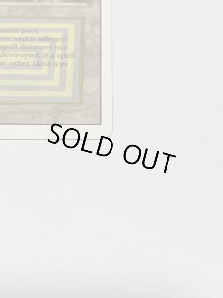 画像4: 《Bayou》3ED MP (4)