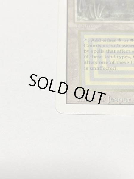 画像5: 《Bayou》3ED MP (5)