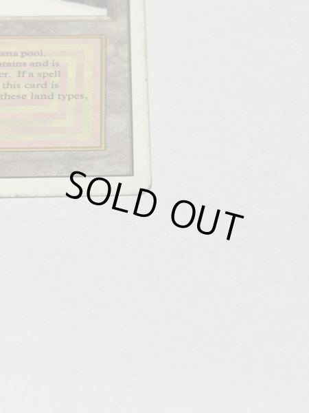 画像4: 《Taiga》3ED HP (4)