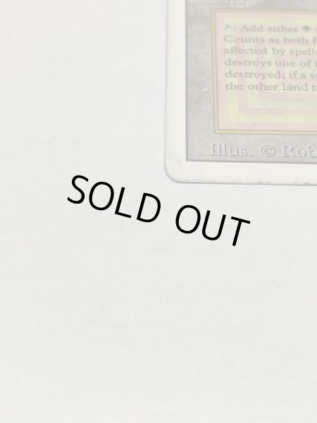 画像5: 《Taiga》3ED HP (5)