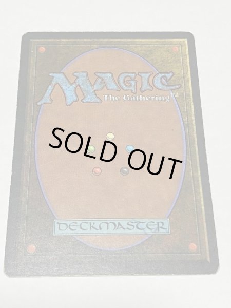 画像6: 《Taiga》3ED HP (6)