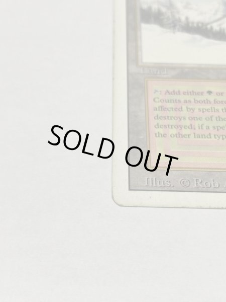 画像5: 《Taiga》3ED HP (5)