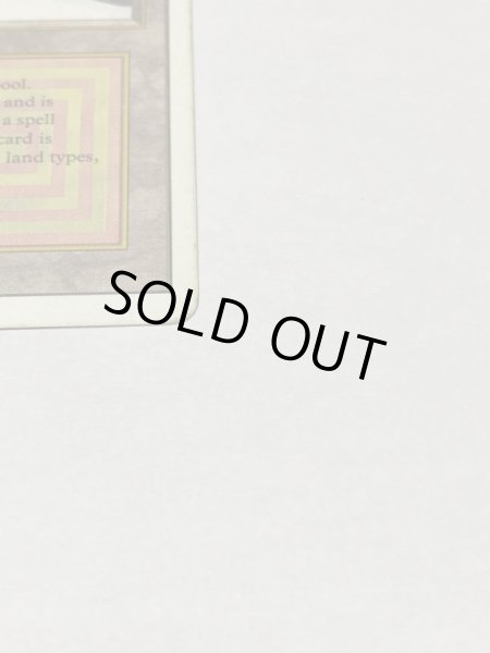 画像4: 《Taiga》3ED HP (4)