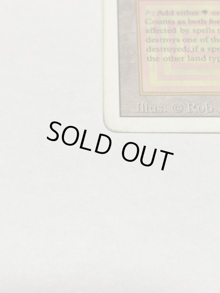 画像5: 《Taiga》3ED HP (5)