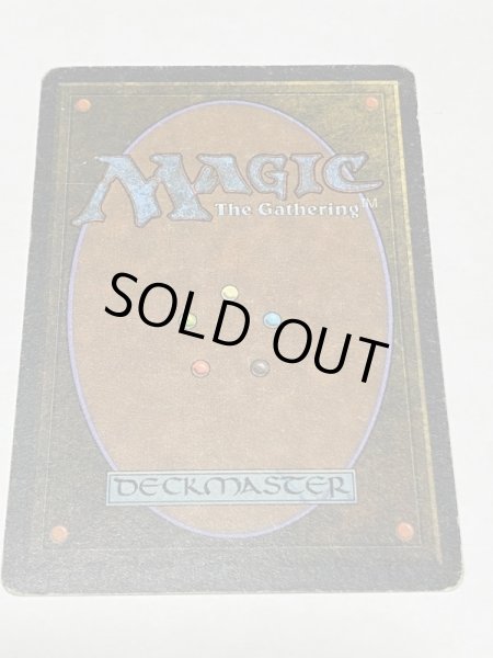 画像6: 《Taiga》3ED HP (6)