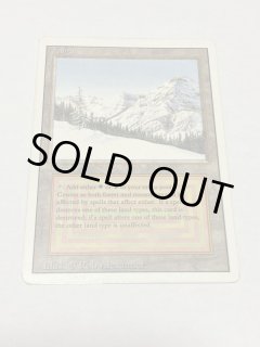 Taiga - MTG専門店 Initiative