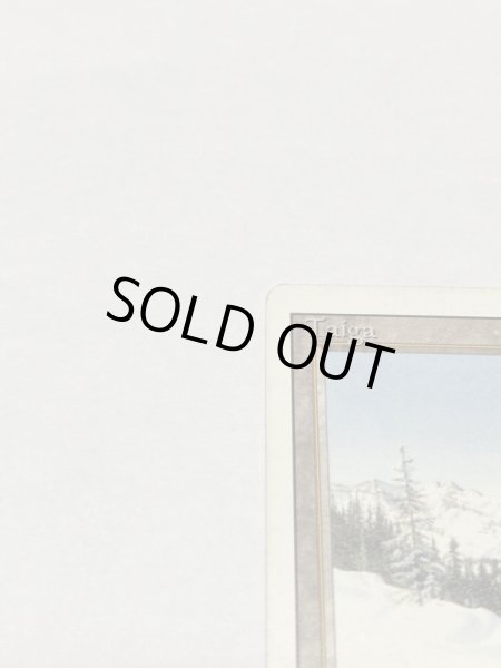 画像2: 《Taiga》3ED HP (2)