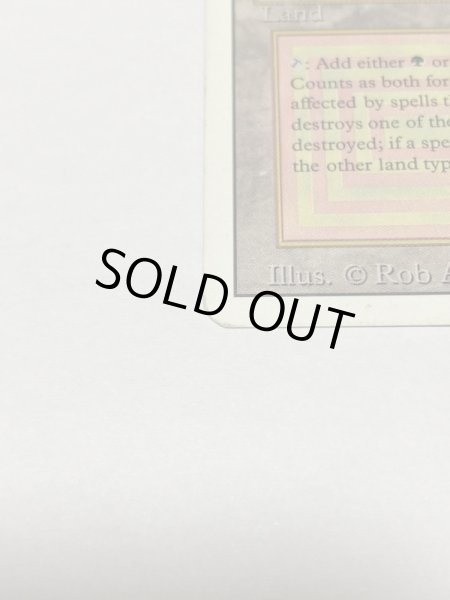 画像5: 《Taiga》3ED HP (5)