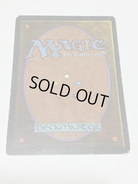 画像6: 《Taiga》3ED HP (6)