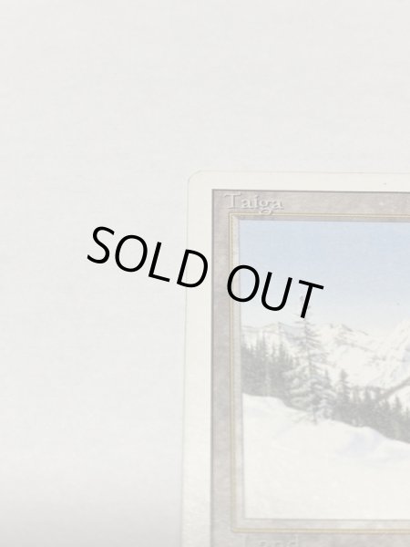 画像3: 《Taiga》3ED MP (3)