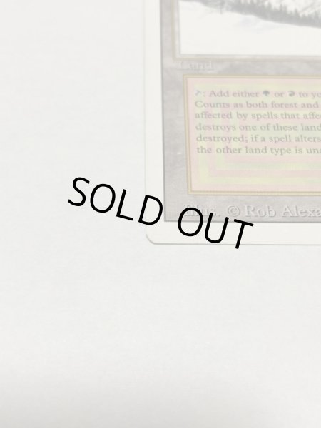 画像2: 《Taiga》3ED MP (2)