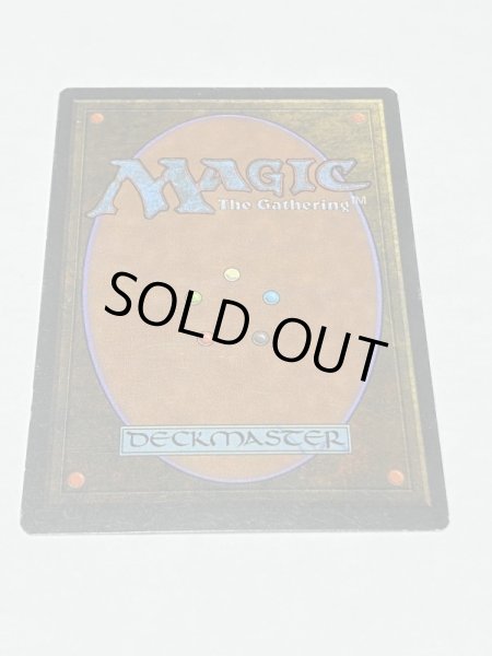 画像6: 《Taiga》3ED MP (6)