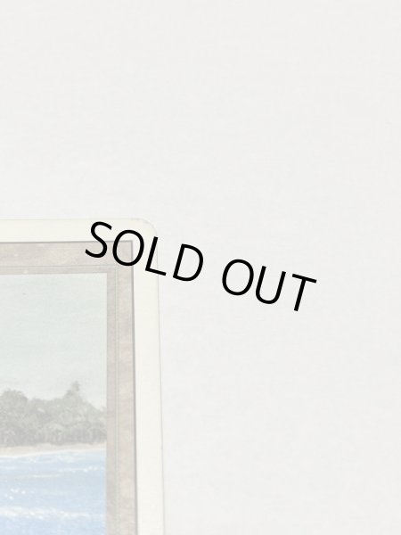 画像3: 《Tropical Island》 3ED MP (3)