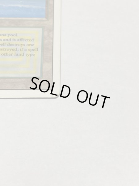 画像4: 《Tropical Island》 3ED MP (4)