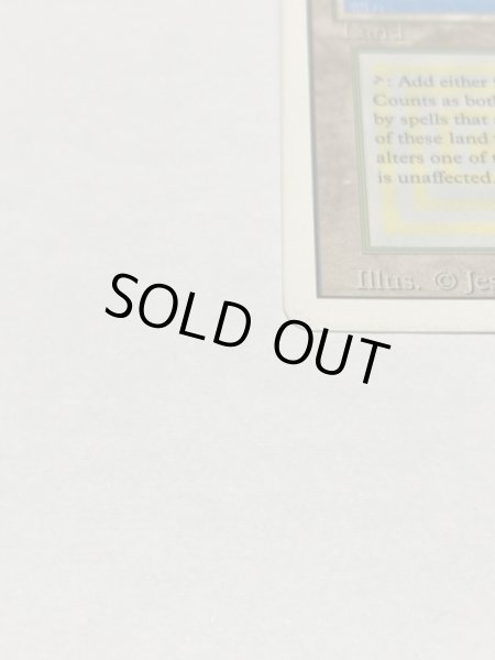 画像5: 《Tropical Island》 3ED MP (5)