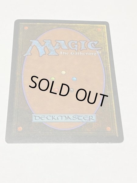 画像6: 《Tropical Island》 3ED MP (6)