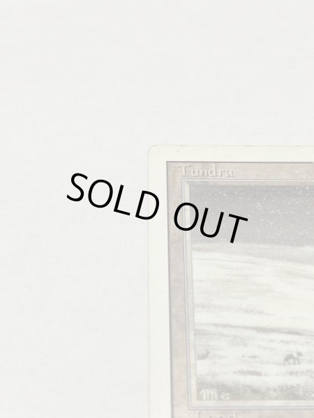 画像2: 《Tundra》3ED MP (2)