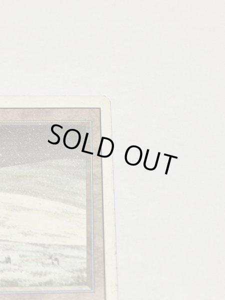 画像3: 《Tundra》3ED MP (3)