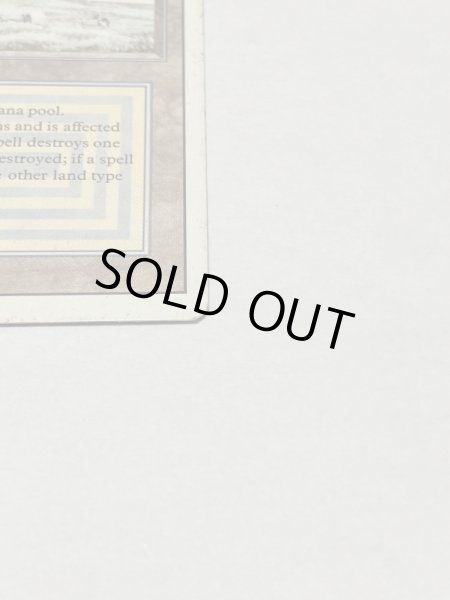 画像4: 《Tundra》3ED MP (4)