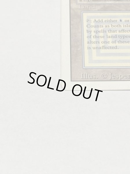 画像5: 《Tundra》3ED MP (5)