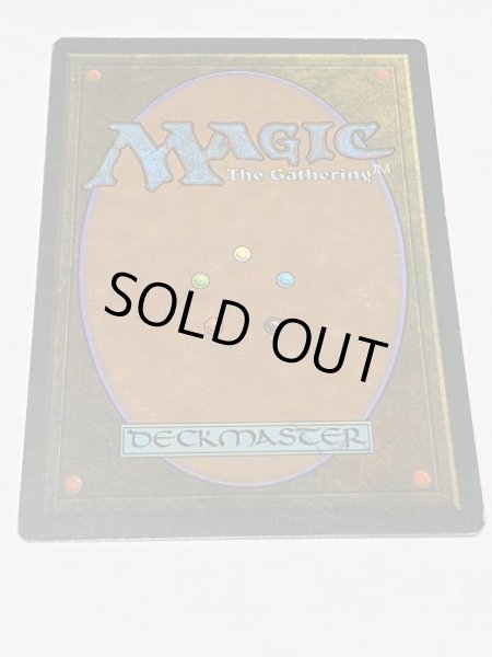 画像6: 《Tundra》3ED MP (6)