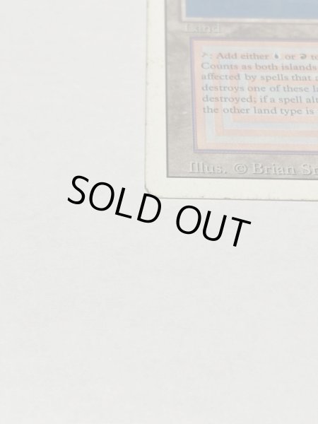 画像5: 《Volcanic Island》3ED MP (5)