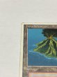 画像2: 《Volcanic Island》[3ED] HP イタリア語 (2)
