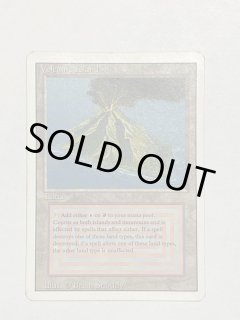 Volcanic Island - MTG専門店 Initiative