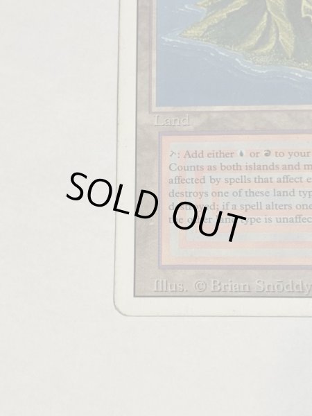 画像5: 《Volcanic Island》3ED MP (5)