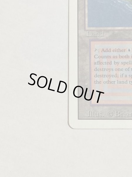 画像5: 《Volcanic Island》3ED MP (5)