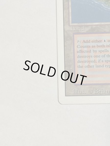 画像5: 《Volcanic Island》3ED SP (5)