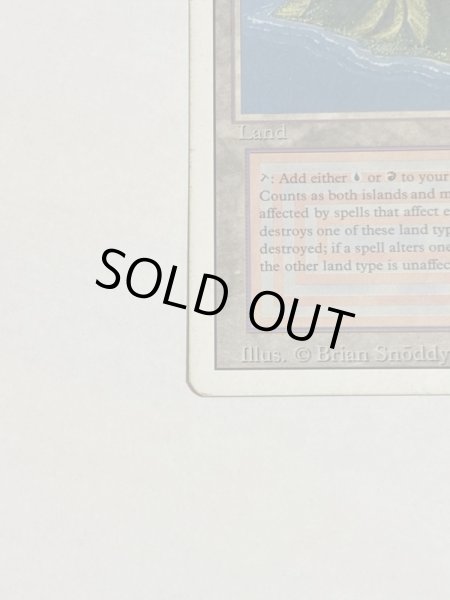 画像5: 《Volcanic Island》3ED SP (5)