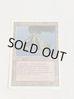 Volcanic Island - MTG専門店 Initiative
