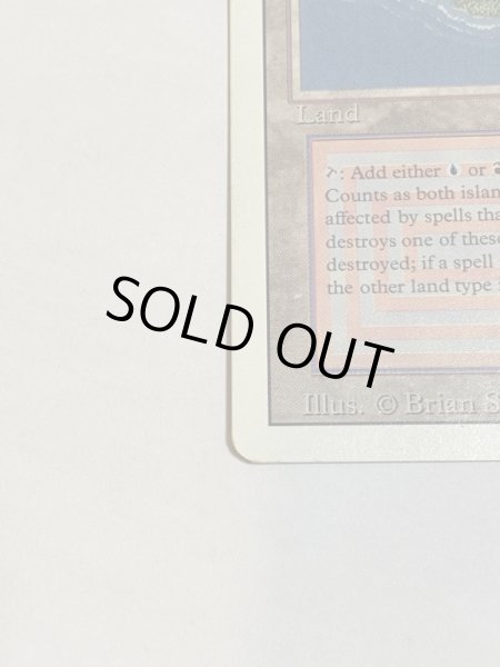 画像5: 《Volcanic Island》3ED SP (5)