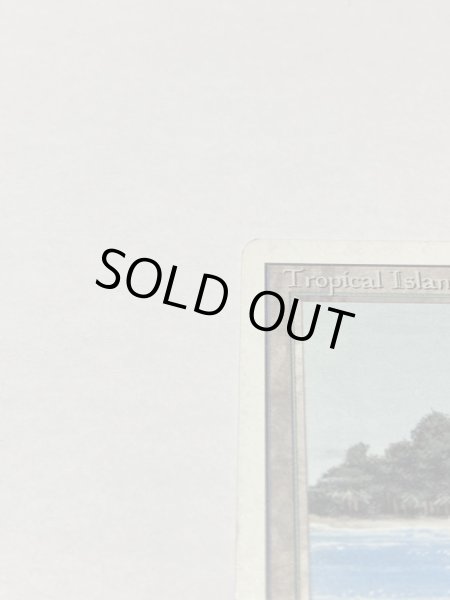 画像2: 《Tropical Island》 3ED HP (2)