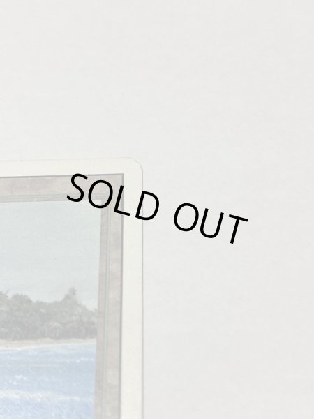 画像3: 《Tropical Island》 3ED HP (3)