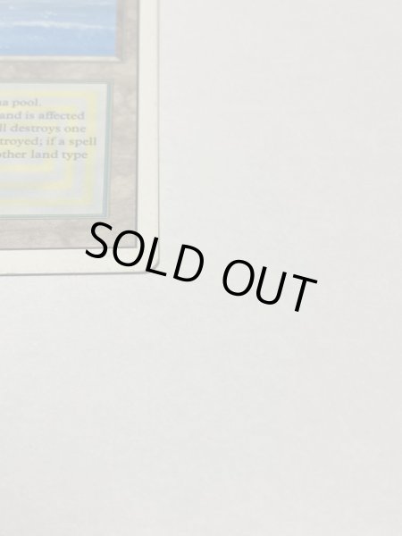 画像4: 《Tropical Island》 3ED HP (4)