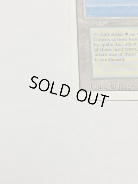 画像5: 《Tropical Island》 3ED HP (5)