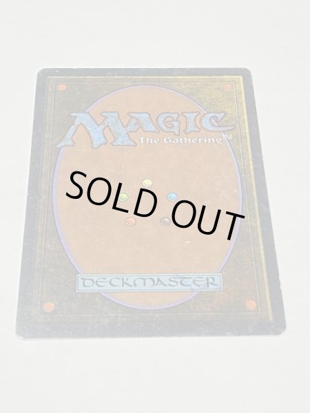 画像6: 《Tropical Island》 3ED HP (6)