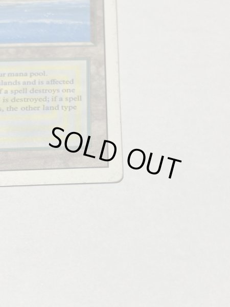 画像4: 《Tropical Island》 3ED HP (4)