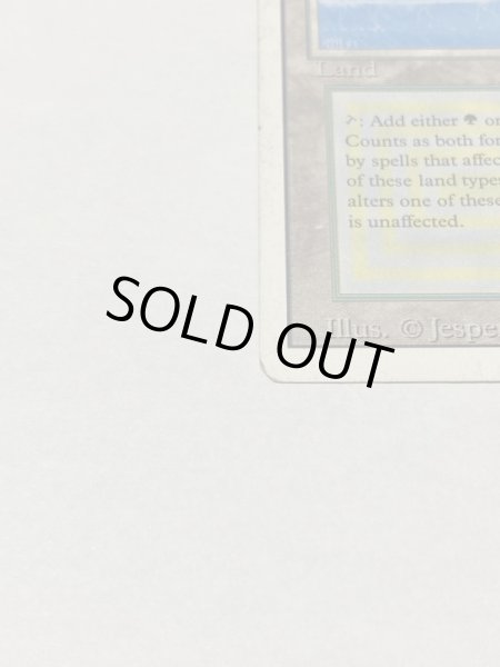 画像5: 《Tropical Island》 3ED HP (5)